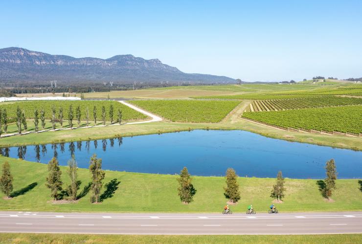 Drei Radfahrer fahren auf einer Straße vorbei an einem kleinen See inmitten üppig grüner Weinberge im Hunter Valley, New South Wales © Cessnock City Council