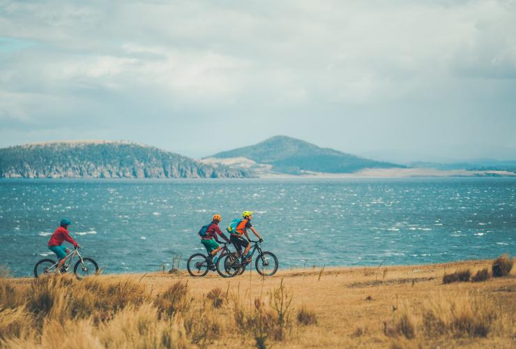 Drei Personen fahren im Maria Island National Park auf Mountainbikes am grasbewachsenen Ufer entlang, mit Blick auf den blauen Ozean, Tasmanien © Matt Staggs