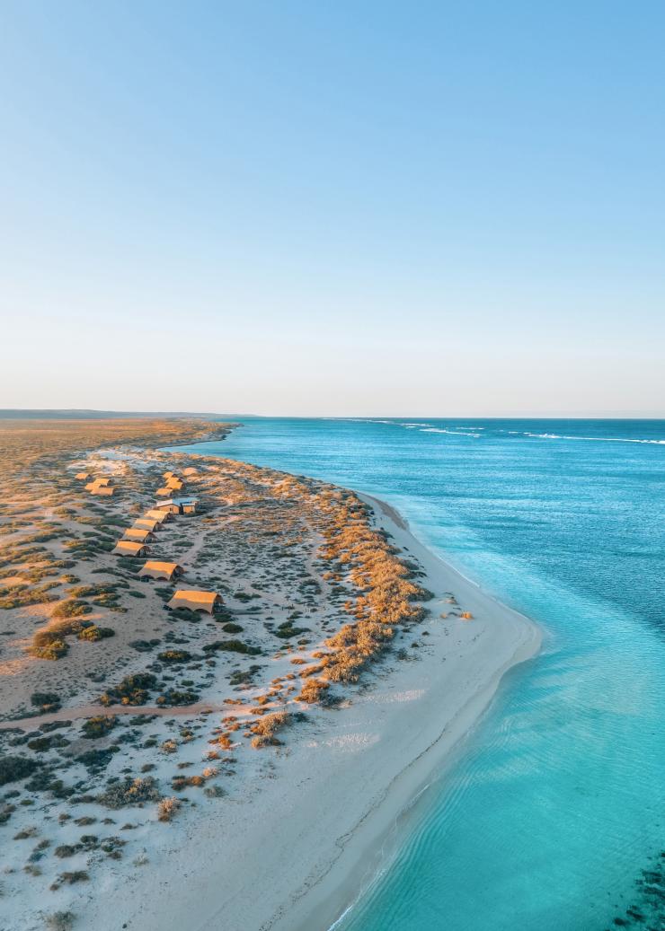 Luftaufnahme der Luxuszelte von Sal Salis entlang des Sands der blauen Küste des Ningaloo Reefs, Westaustralien © Sal Salis Ningaloo Reef