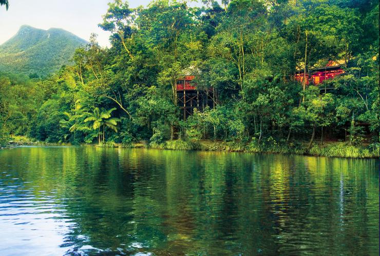 Blick durch die Bäume des Daintree Rainforest auf den Mossman Gorge River von der Silky Oaks Lodge aus, Queensland © Silky Oaks Lodge