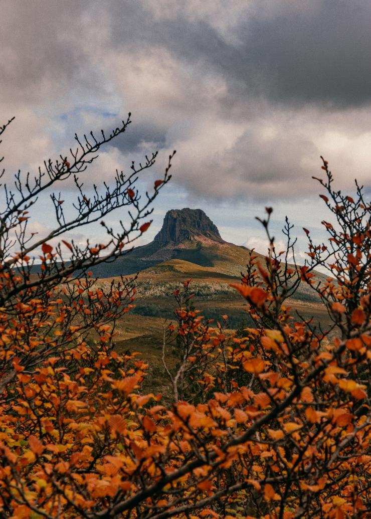 Overland Track, Barn Bluff, Cradle Mountain-Lake St Clair National Park, Tasmanien © Matty Eaton