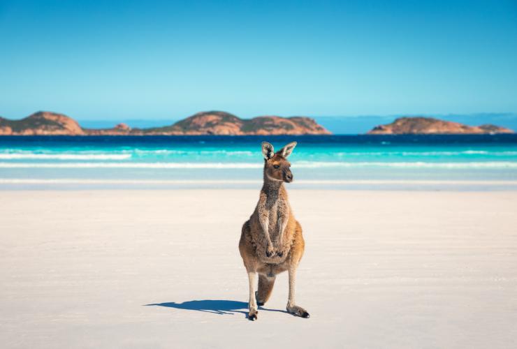 Lucky Bay, Cape Le Grand National Park, Westaustralien © Tourism Australia
