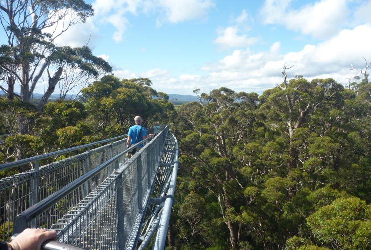 Valley of the Giants, Tree Top Walk, Walpole-Nornalup National Park, Westaustralien © Jean Leggat