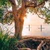 Paddleboarding, Noosa, QLD © Tourism and Events Queensland