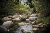 Voyages Indigenous Tourism Australia - Mossman Gorge Centre, Queensland © James Fisher, Tourism Australia