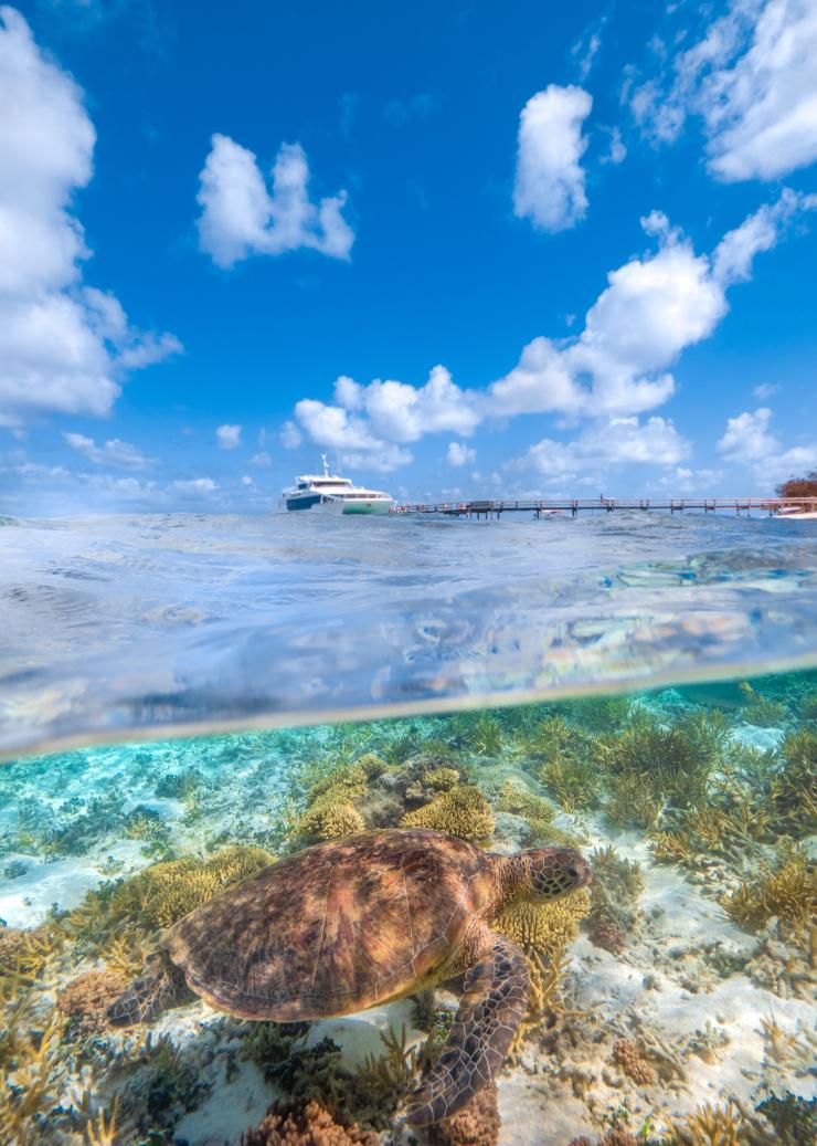 Heron Island, Grande Barrière de Corail, Queensland © Tourism and Events Queensland
