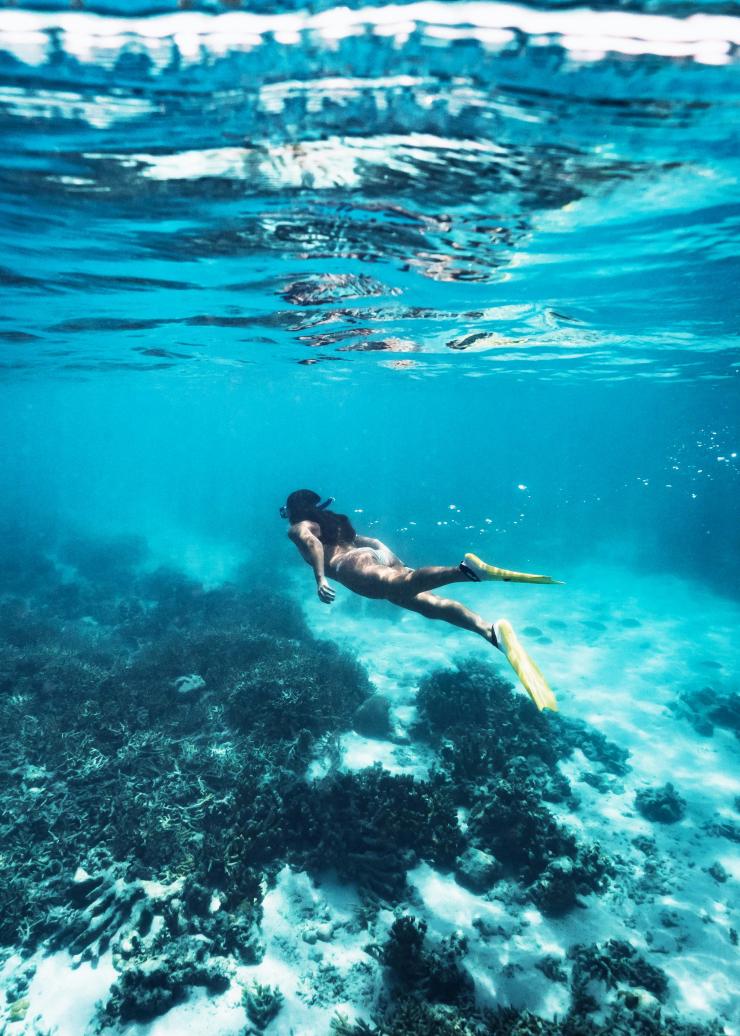 Plongée avec masque et tuba, Heron Island, Queensland © James Vodicka