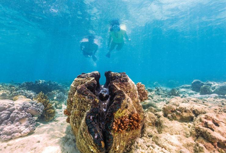 Michaelmas Cay, Grande Barrière de Corail, Queensland © Tourism and Events Queensland