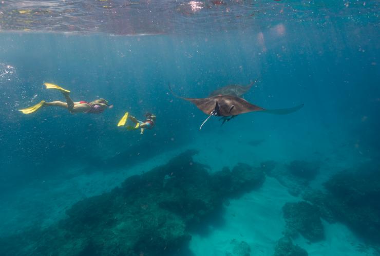 Coral Bay, Ningaloo Reef, Australie Occidentale © Tourism Western Australia 