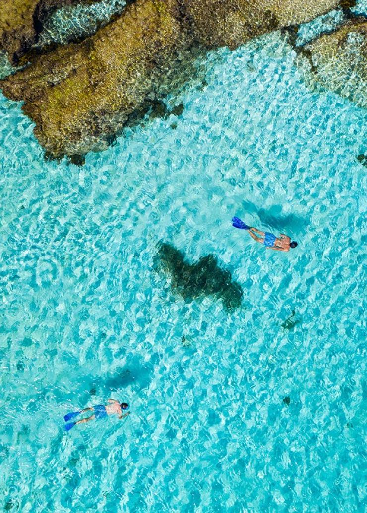 Plongée avec masque et tuba à Little Salmon Bay, Rottnest Island, WA © Tourism Australia