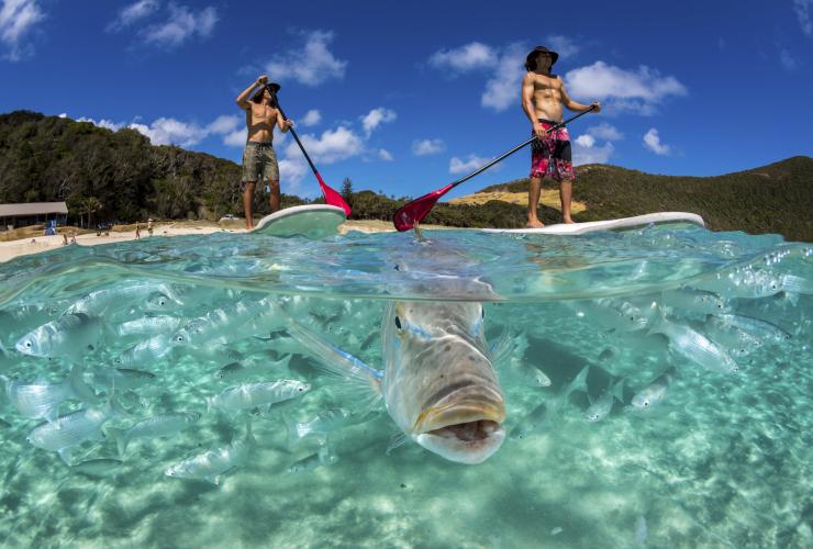 Neds Beach, Lord Howe Island, Nouvelle-Galles du Sud © Destination NSW