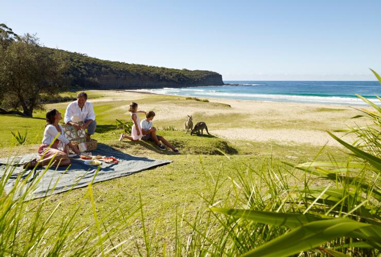 Pebbly Beach, South Coast, Nouvelle-Galles du Sud © Tourism Australia