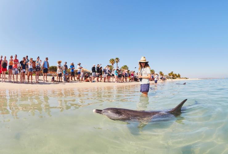 Monkey Mia, Australie Occidentale © Tourism Western Australia