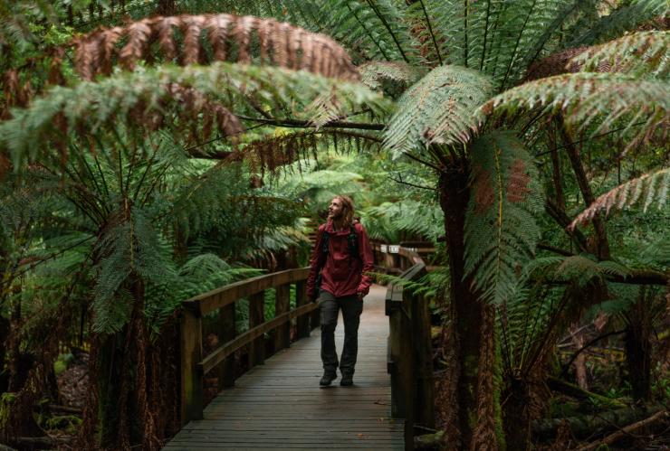 Hastings Caves and Thermal Springs, Huon Valley, Tasmanie © Jess Bonde