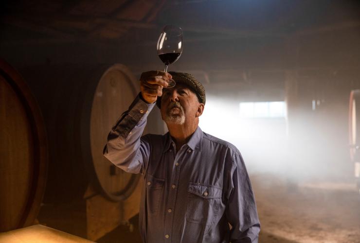 Tyrrell's Wines, Hunter Valley, Nouvelle-Galles du Sud © Destination NSW