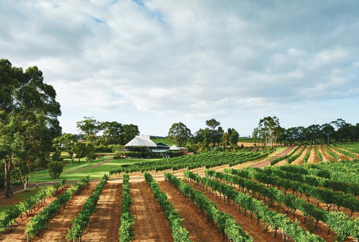 Vasse Felix, Margaret River, Australie Occidentale © Vasse Felix