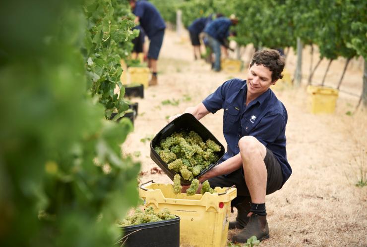 Vasse Felix, Margaret River, Australie Occidentale © Vasse Felix
