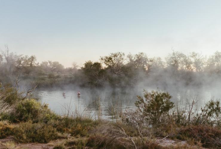 Dalhousie Springs, Flinders Ranges et arrière-pays, SA © Renae Schulz