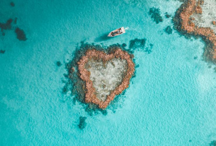 Heart Reef, les îles Whitsunday, QLD © Salty Wings