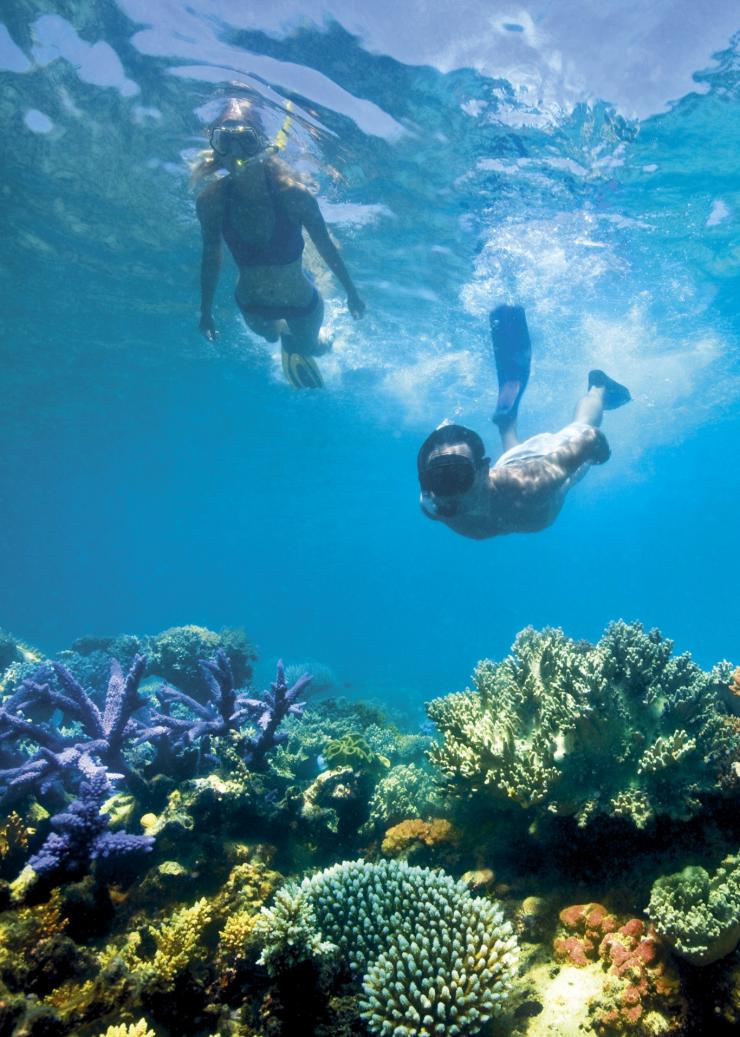 Lizard Island, Grande Barrière de Corail, QLD © Delaware North Companies