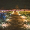 Un visiteur traverse l'installation artistique Field of Light © Tourism NT/Mitchell Cox