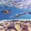 Heron Island, sud de la Grande Barrière de Corail, Queensland © Tourism and Events Queensland