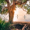 Activités de paddle, Noosa, QLD © Tourism and Events Queensland