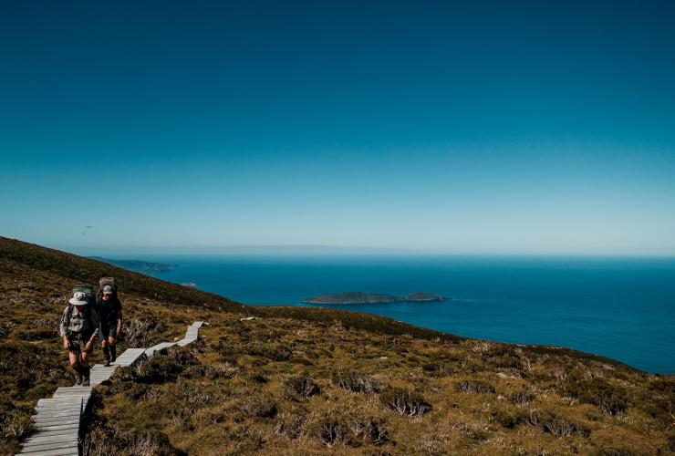 South Coast Track, Southwest National Park, Tasmanie © Matty Eaton