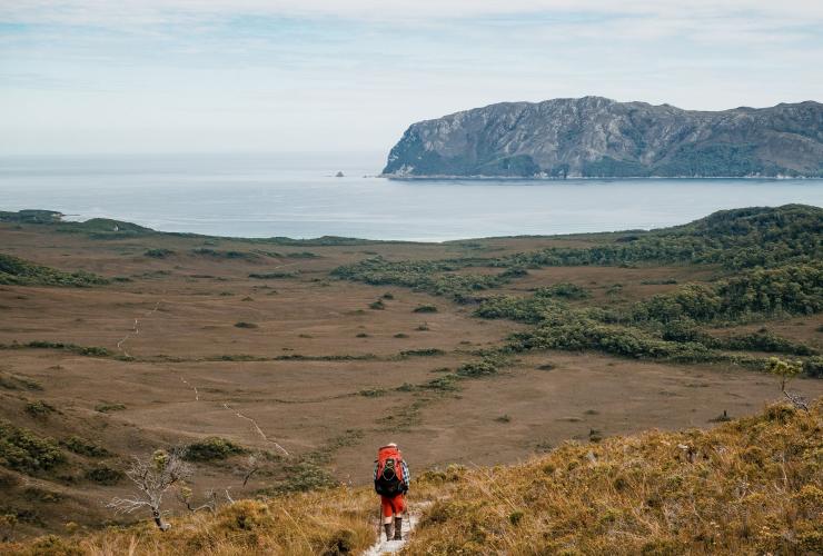 South Coast Track, Southwest National Park, Tasmanie © Matty Eaton