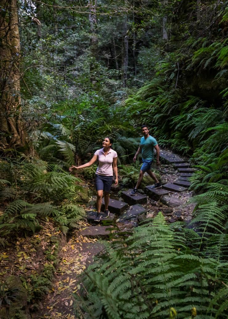 Grand Canyon Walking Track, Blue Mountains, Nouvelle-Galles du Sud © Destination NSW