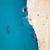 Une baleine fendant la surface de l'océan lors d'une excursion avec Dive Jervis Bay, Jervis Bay, Nouvelle-Galles du Sud © Jordan Robins