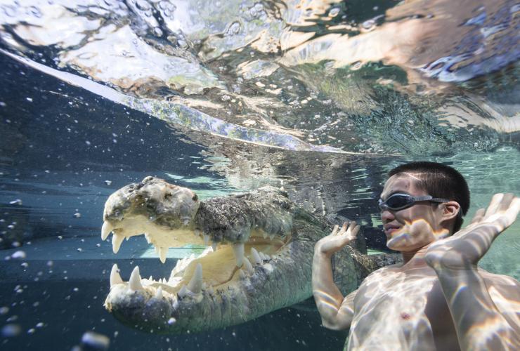 Cage de la mort, Crocosaurus Cove, Darwin, NT © Tourism Northern Territory