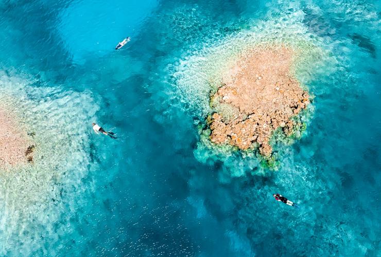 Bersnorkel, Rowley Shoals, Western Australia © Tourism Australia