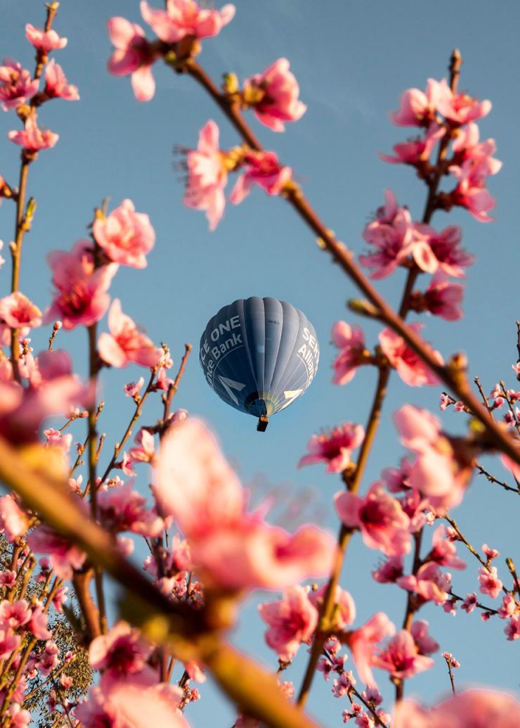 Balon udara, Canberra, ACT © Rob Mulally