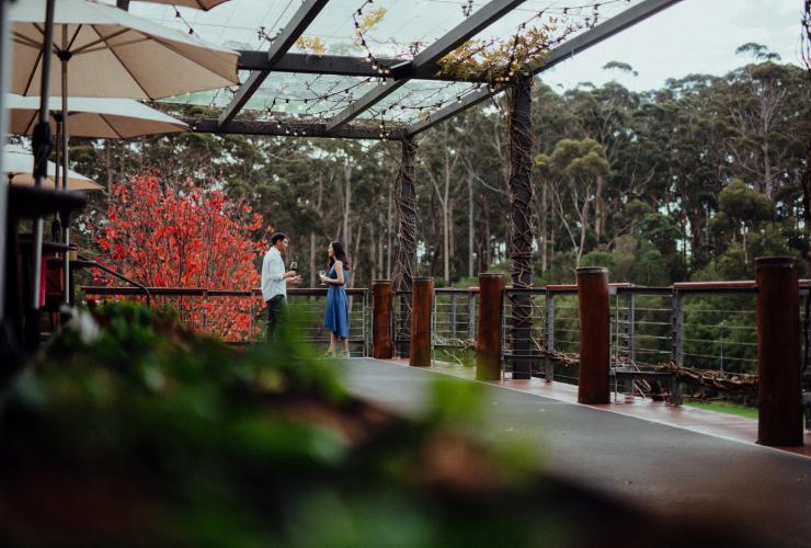 Pasangan di Leeuwin Estate Restaurant, Margaret River, WA © Tourism Western Australia