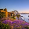 Jacarandas dan Sydney Harbour saat matahari terbenam, Sydney, NSW © Destination NSW