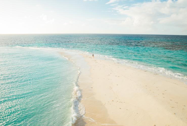 Vlasoff Cay, di dekat Cairns, QLD © Tourism Tropical North Queensland