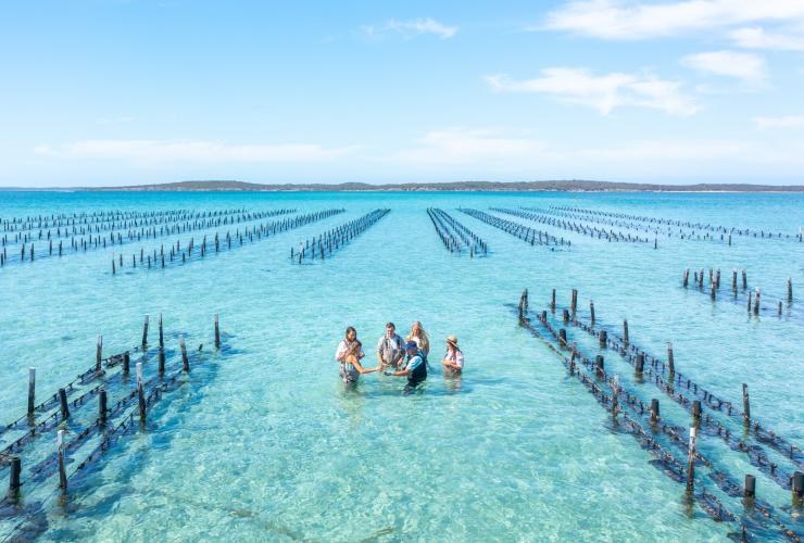 Foto para tamu di antara rak-rak tiram yang diambil dari atas di Experience Coffin Bay, Eyre Peninsula, SA © Tourism Australia