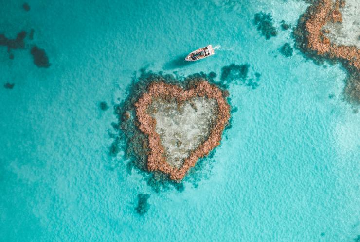 Heart Reef, Whitsundays, QLD © Salty Wings