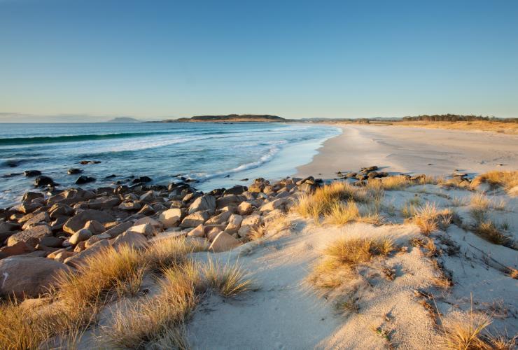 Thalia Haven, East Coast, TAS © Thalia Haven/Marcus Walters