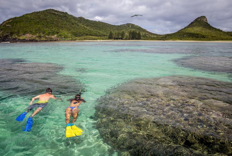 Bersnorkel di Lord Howe Island, NSW © Luke Hanson