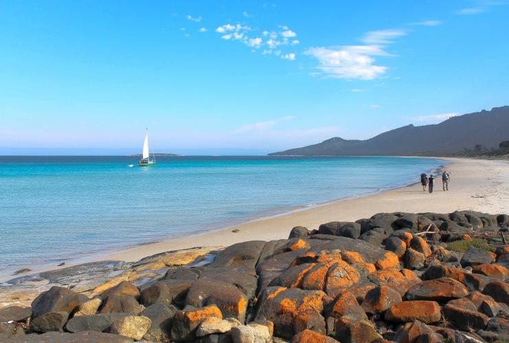 Sekelompok kecil orang yang sedang melakukan jelajah alam berpemandu di sepanjang pantai yang tenang bersama Freycinet Adventures, Wineglass Bay, Tasmania © Tourism Tasmania/Kathryn Leahy