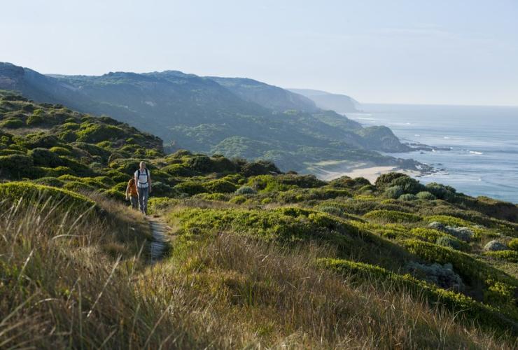Pasangan sedang berjalan di Great Ocean Walk, Victoria © Visit Victoria/Mark Watson