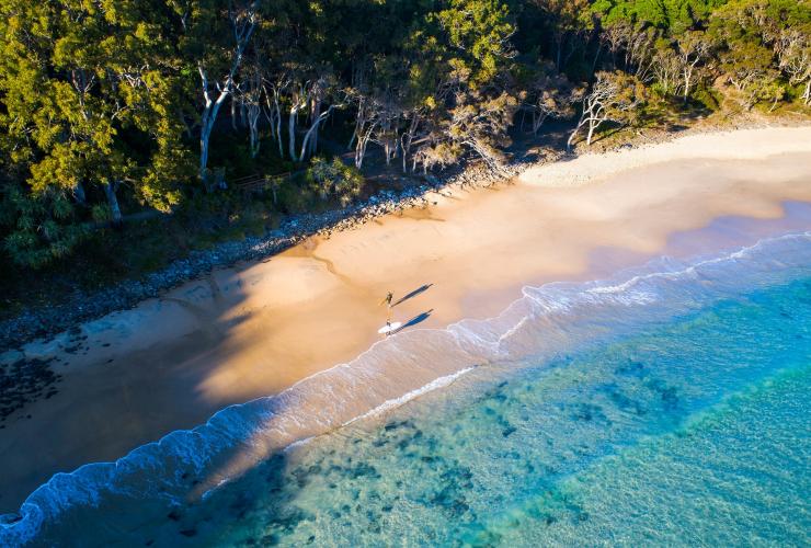 Berselancar, Tea Tree Bay, Noosa, Queensland © Dave Wilcock/Tourism and Events Queensland
