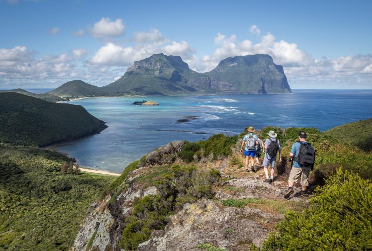 Seven Peaks Walk oleh Pinetrees, Lord Howe Island, NSW © Luke Hanson