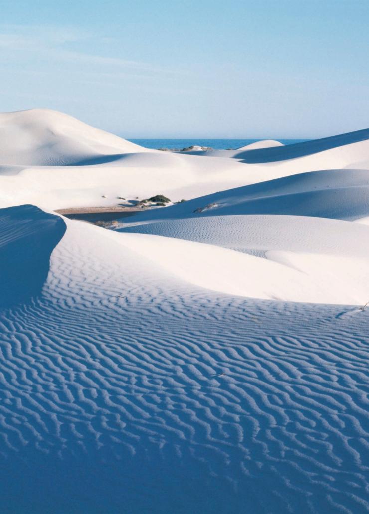 Bukit pasir Eucla, Eucla, WA © Tourism WA