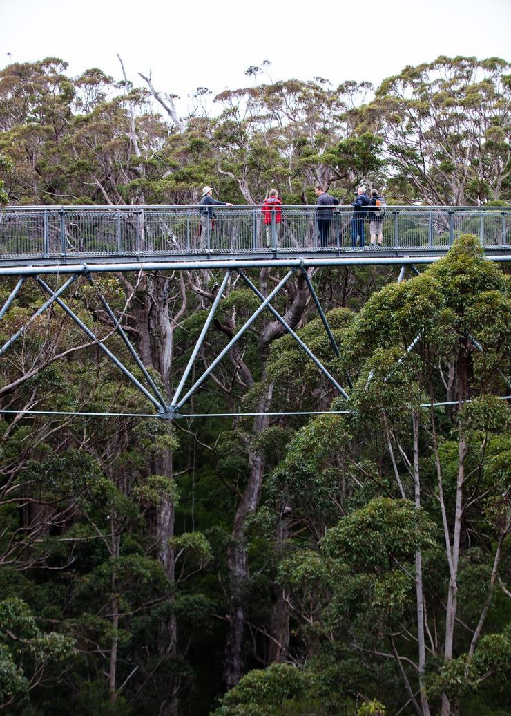 Valley of the Giants, Walpole, Western Australia © Tourism Australia