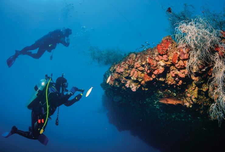 Relitto della Yongala, Grande Barriera Corallina, Queensland © Tourism and Events Queensland