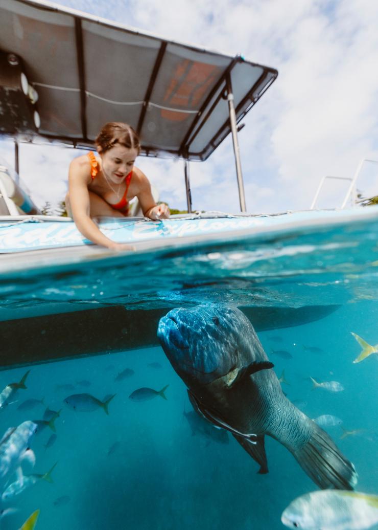 Whitsunday Paradise Explorer, Whitsunday, Queensland © Tourism and Events Queensland