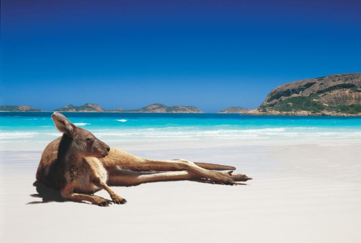 Lucky Bay, Cape Le Grand National Park, Western Australia © Tourism Australia